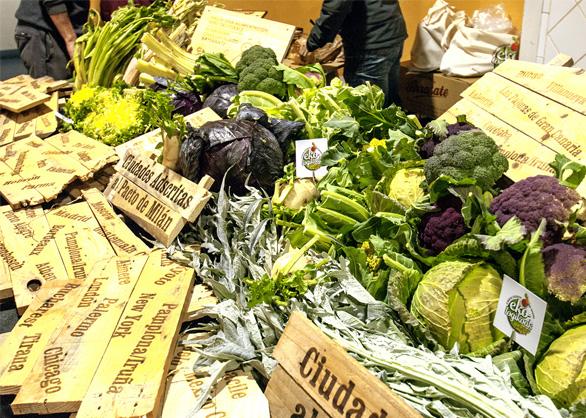 Tudela acoge hasta el 25 de febrero las Jornadas de las Verduras del Hielo